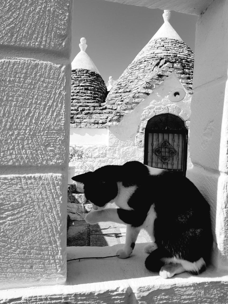 Trulli Aurasia Ostuni Exterior photo
